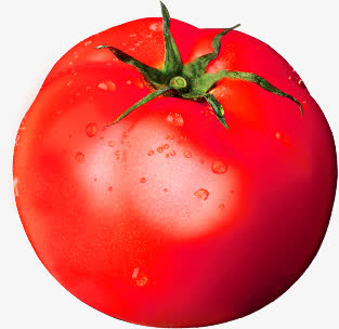 红色西红柿植物蔬菜