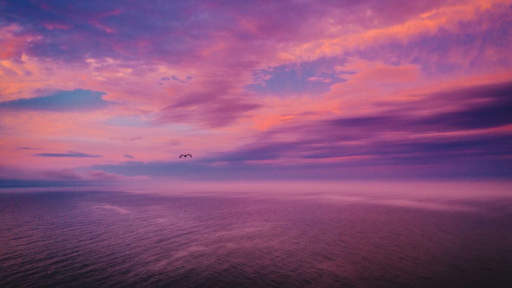 黄昏 海 鸟 天空 美丽的 4k壁纸 3840x2160