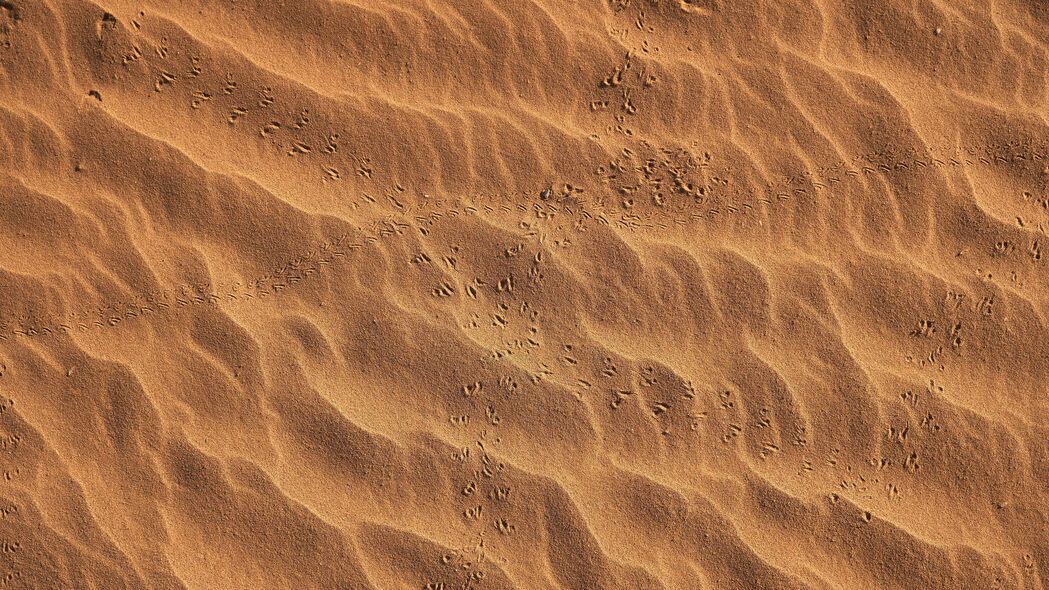 脚印 海滩 沙子 沙漠 4k壁纸 3840x2160