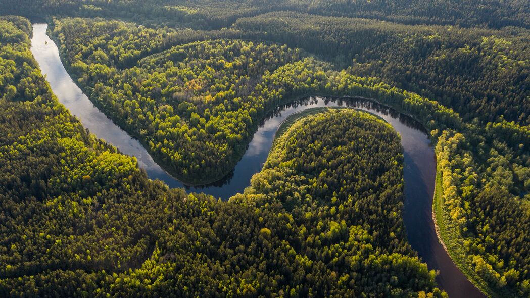 河流 蜿蜒 森林 树木 4k壁纸 3840x2160
