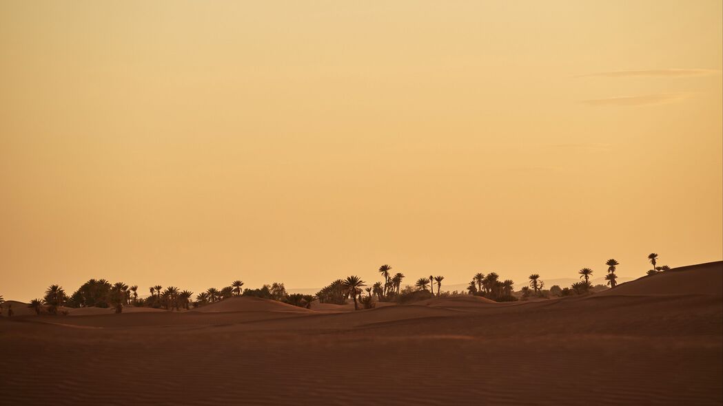 绿洲 沙漠 棕榈 沙子 4k壁纸 3840x2160
