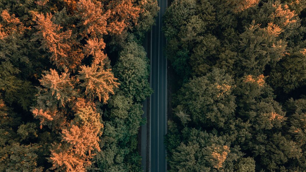 道路林木森森，鸟瞰美景如画——4K高清森林壁纸，3840x2160超清下载