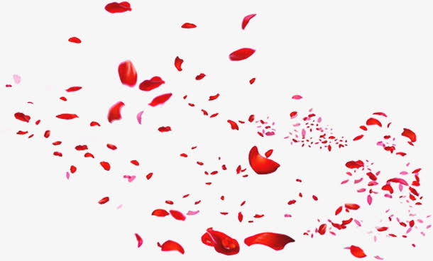 飘落红色玫瑰七夕情人节