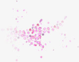 粉色花瓣分散七夕情人节海报背景