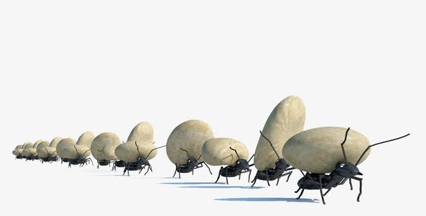 一列搬石头的蚂蚁