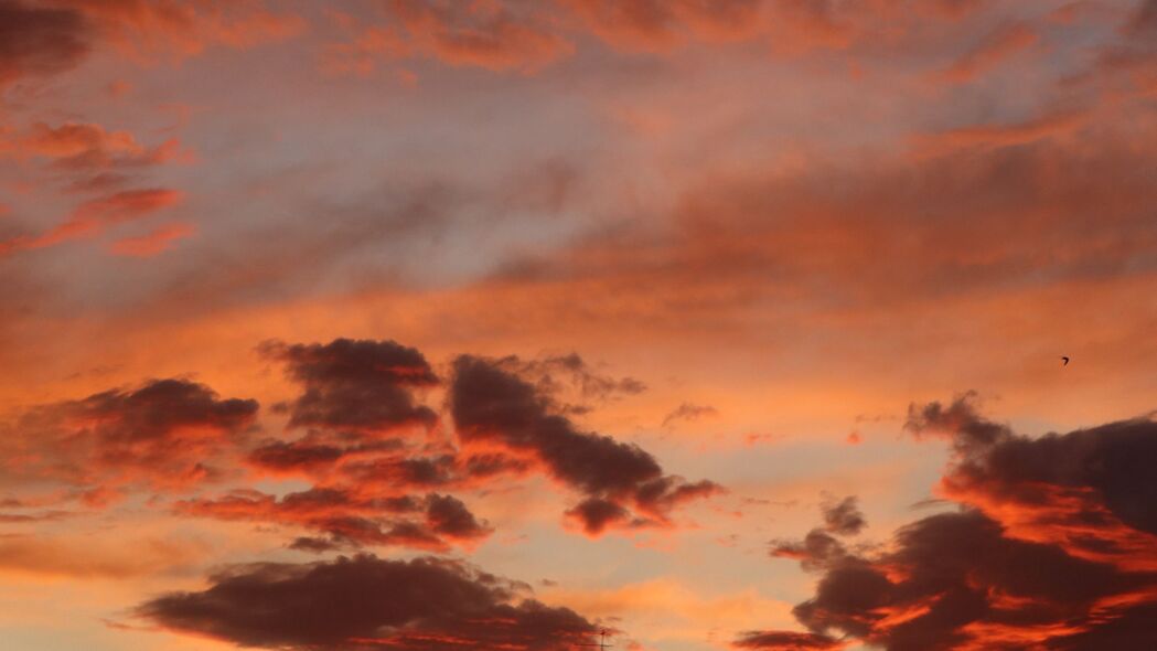 云 天空 日落 粉红色 美丽的 4k壁纸 3840x2160