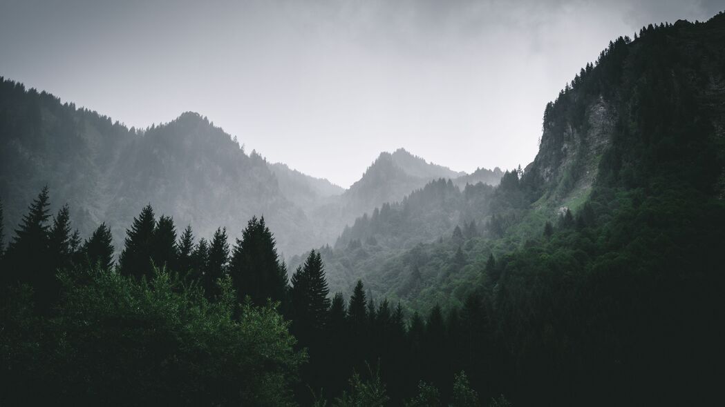 山脉森林雾景，绝美4K高清壁纸，3840x2160分辨率，畅享自然之美！