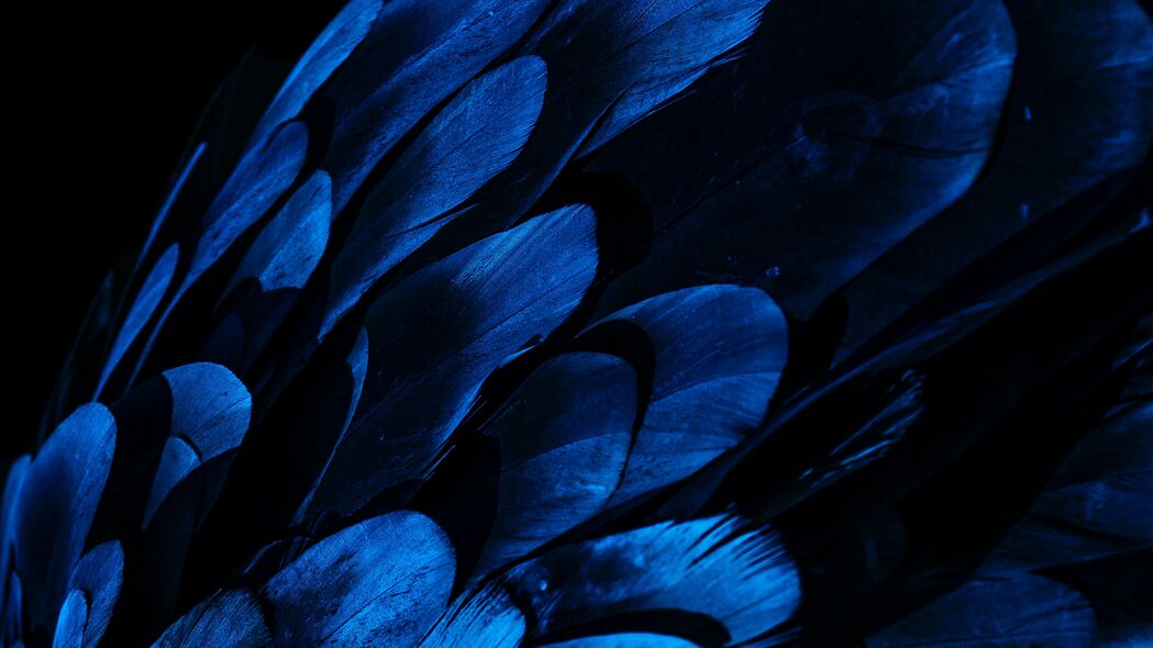 羽毛 翅膀 蓝色 深色 4k壁纸 3840x2160