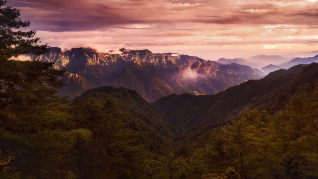 山脉云景，绝美云杉4K壁纸，3840x2160高清下载，尽赏自然之美