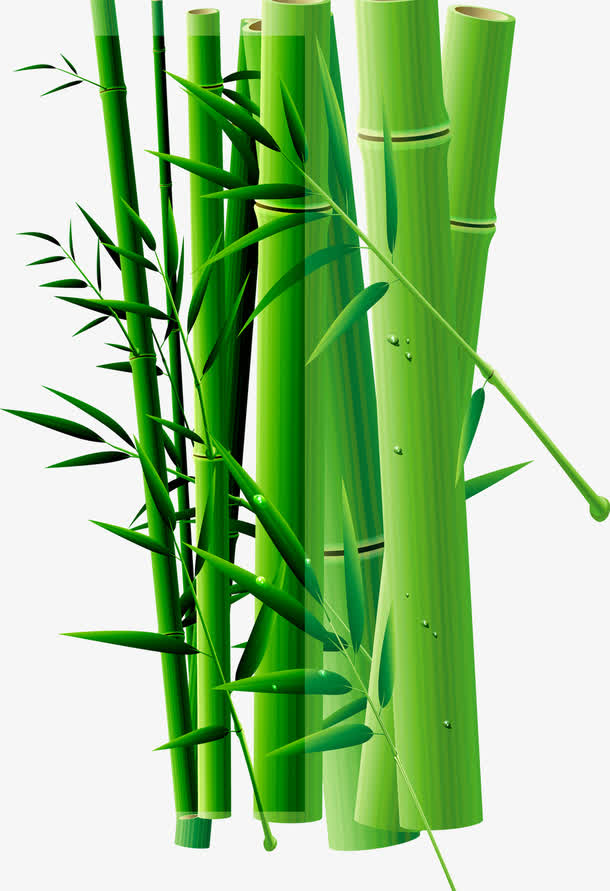 卡通竹子竹节装饰
