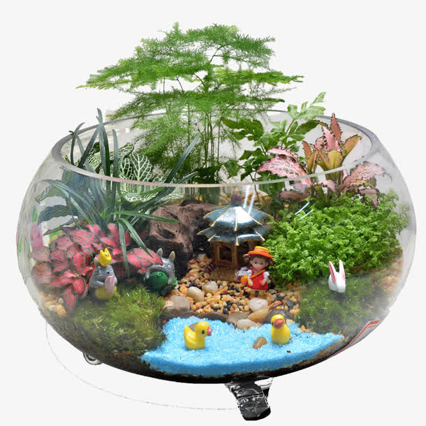 苔藓微景观组合植物生态瓶