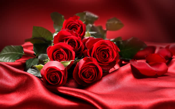 大红色丝绸红玫瑰