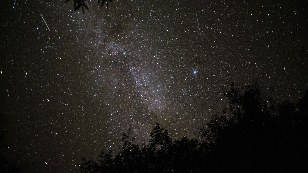 空间树枝深色星星绝美融合，4K超清壁纸，3840x2160高清下载，点缀你的桌面宇宙！