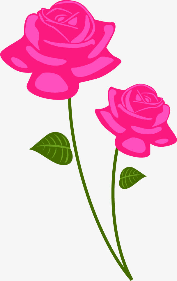 手绘扁平开放的玫瑰花