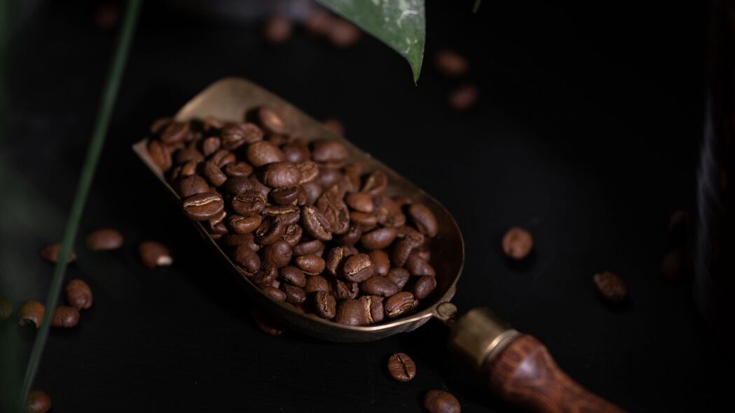 咖啡 咖啡豆 植物 深色 4k壁纸 3840x2160