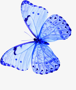 蓝色卡通半透明蝴蝶