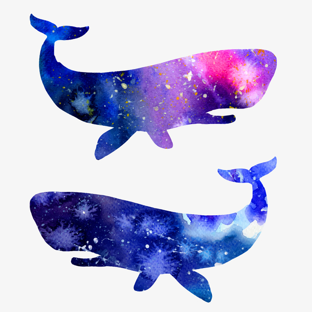 蓝色水彩风鲸鱼