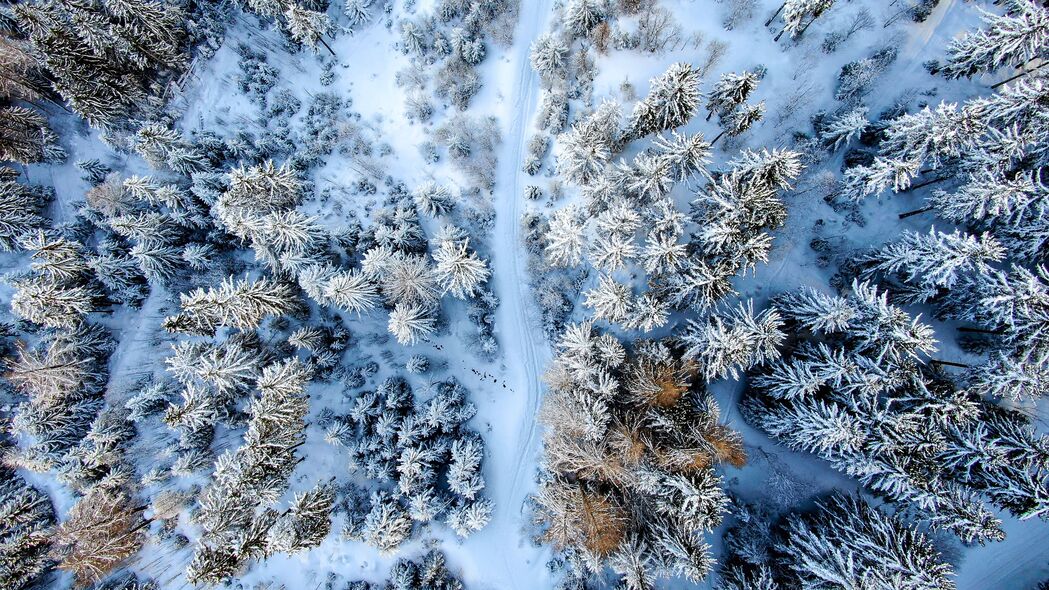 冬季森林 道路 鸟瞰图 雪地 4k壁纸 3840x2160
