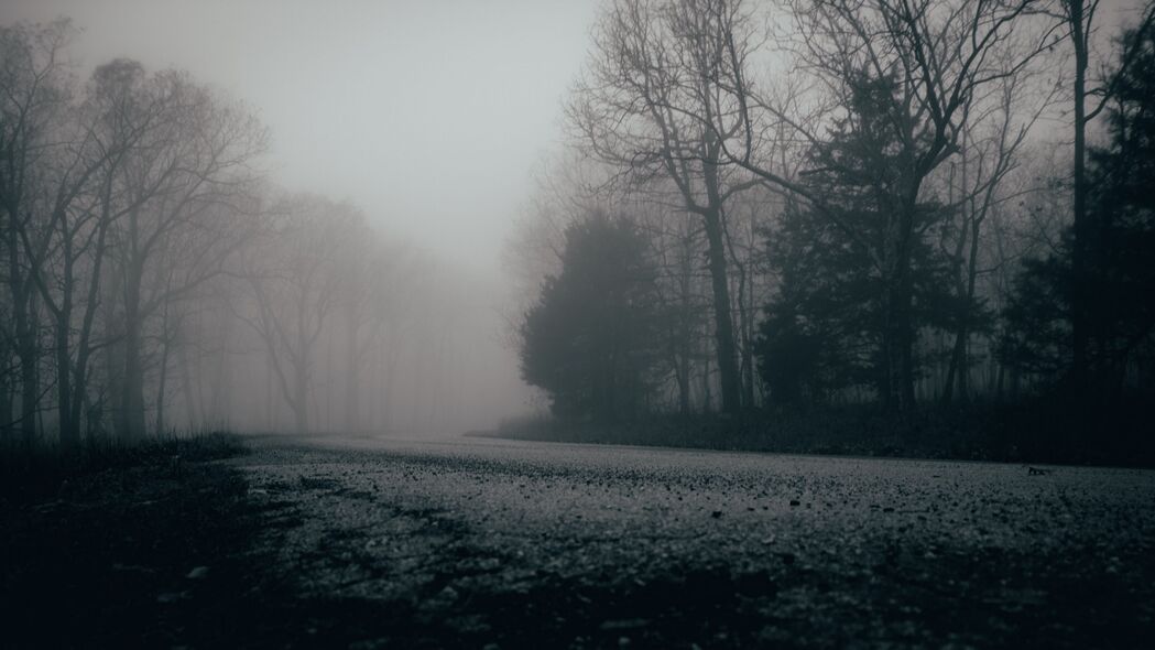 雾 树木 森林 灰暗的 4k壁纸 3840x2160