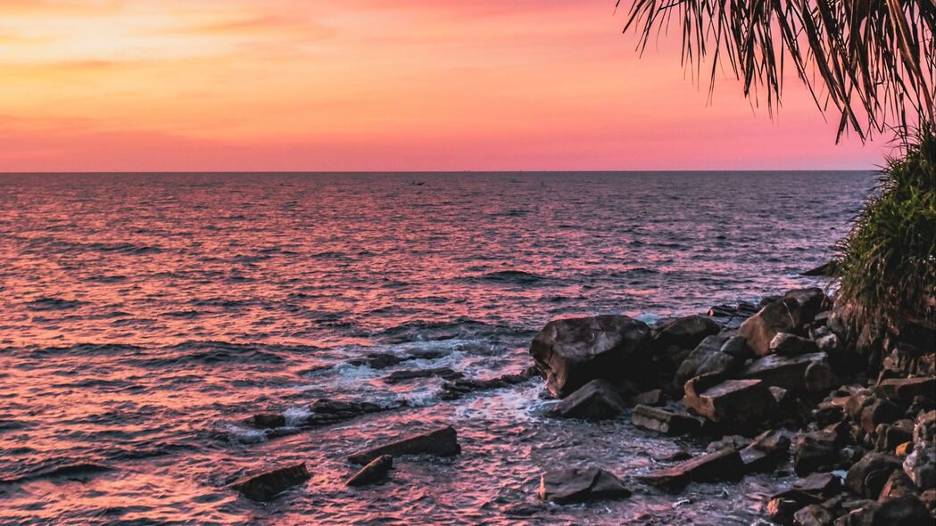 日落 棕榈 大海 海岸 粉红色 4k壁纸 3840x2160