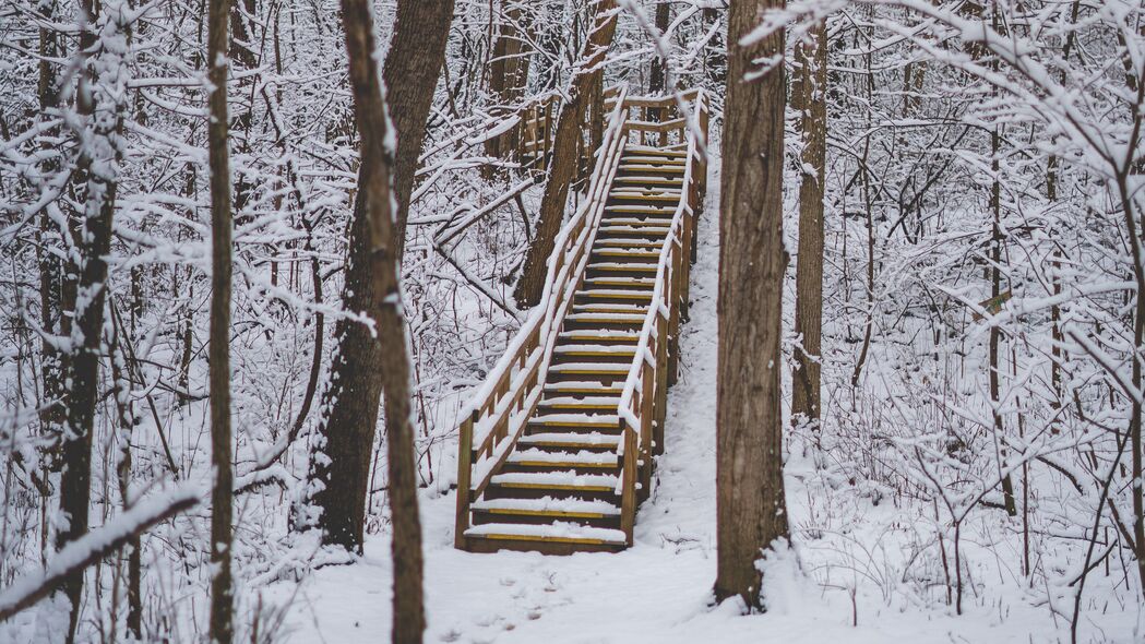 森林 雪 楼梯 树木 自然 4k壁纸 3840x2160