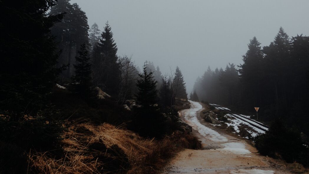 道路树木雾中景，自然之美4K壁纸，高清3840x2160大图下载