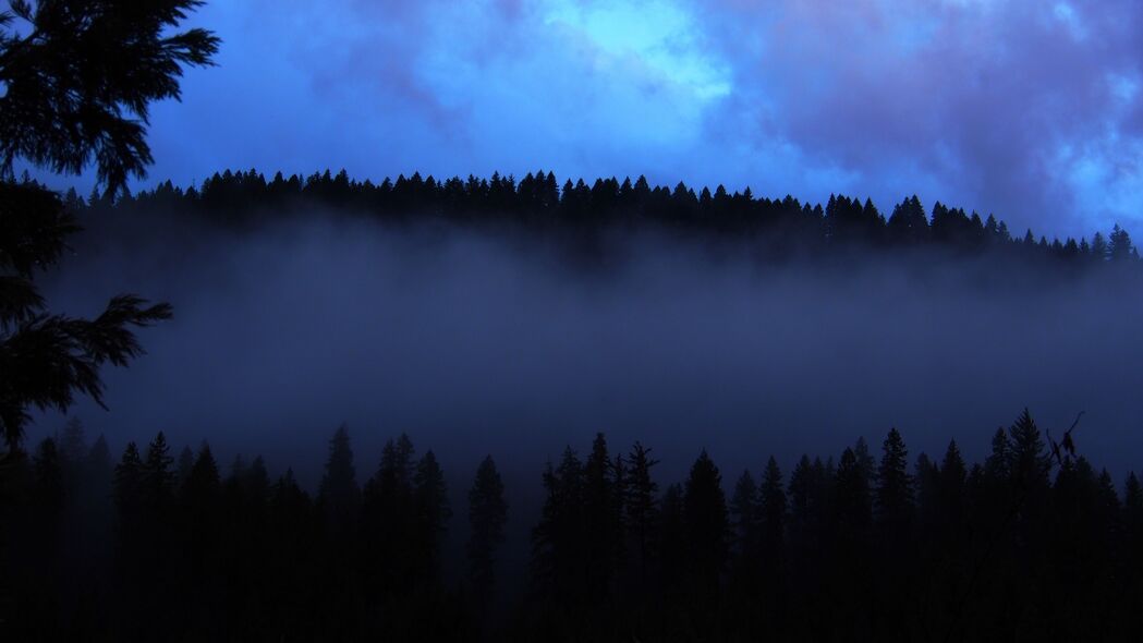 森林 雾 云 黄昏 自然 4k壁纸 3840x2160