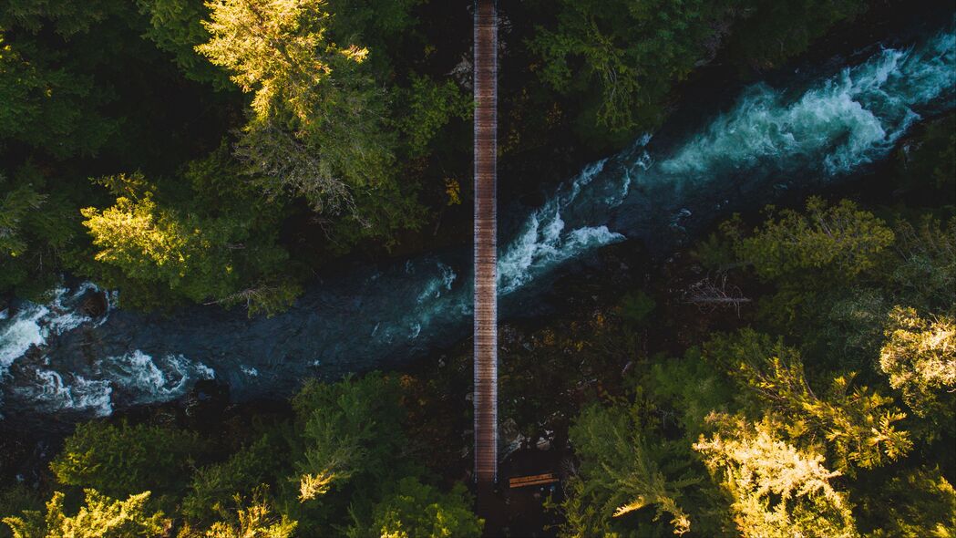 河流 桥梁 鸟瞰图 树木 海岸 4k壁纸 3840x2160