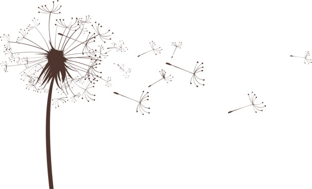 蒲公英花纹PNG透明素材，高清AI设计装饰元素下载