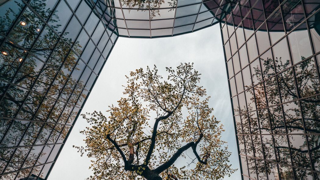 树 建筑 反射 建筑 玻璃 4k壁纸 3840x2160