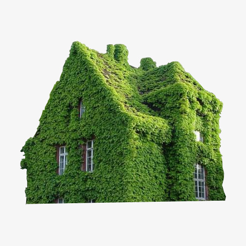绿色植物房子