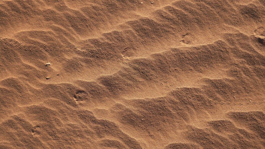 纹理 沙子 棕色 痕迹 4k壁纸 3840x2160