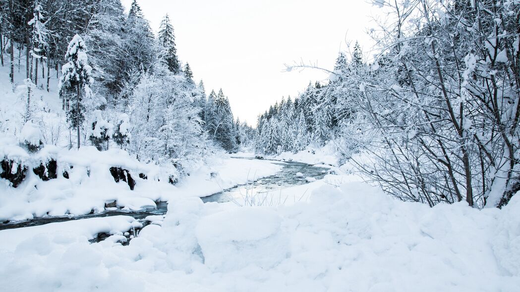 河流 树木 雪 景观 冬季 4k壁纸 3840x2160