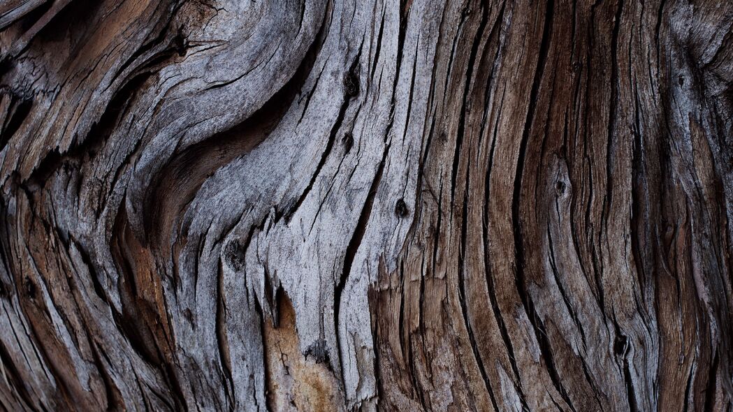 木材 纹理 缝隙 树皮 4k壁纸 3840x2160