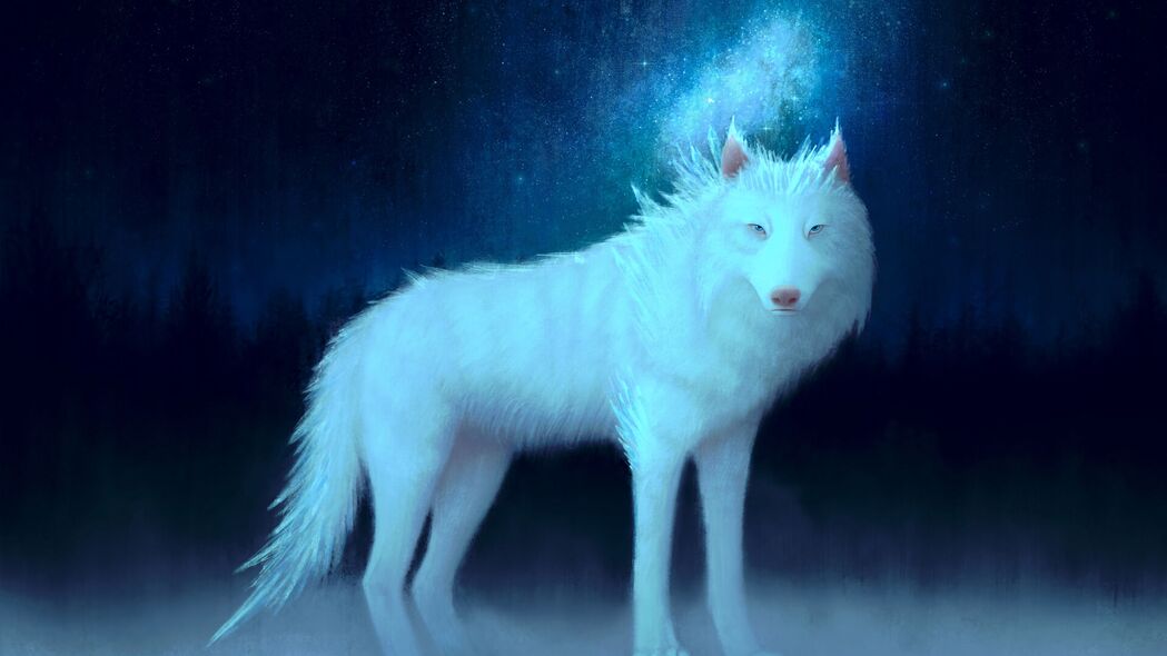 狼 白色 艺术 动物 4k壁纸 3840x2160
