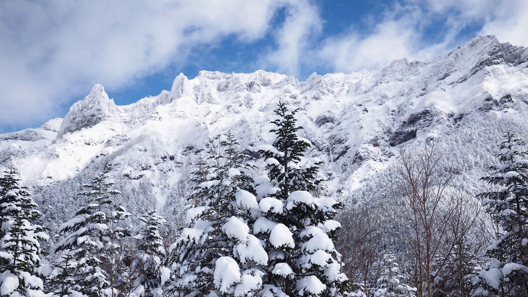 山脉 雪 树木 景观 冬季 4k壁纸 3840x2160