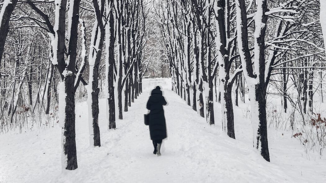 男人 孤独 冬天 路径 树 悲伤的 4k壁纸 3840x2160