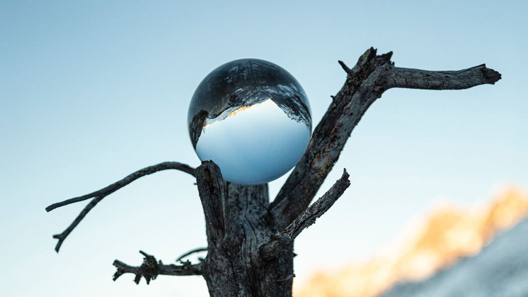 树 球 玻璃 反射 4k壁纸 3840x2160