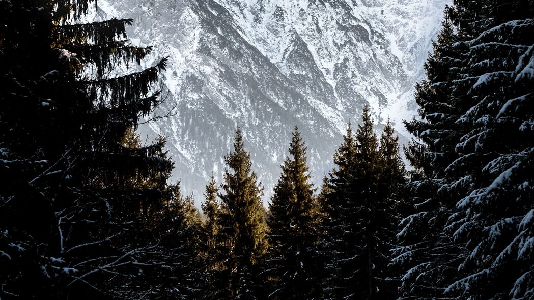 山脉 树木 雪 景观 冬季 4k壁纸 3840x2160