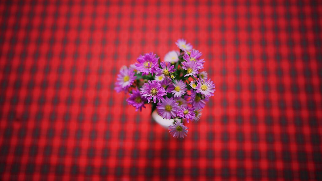 鲜花 花束 紫色 4k壁纸 3840x2160