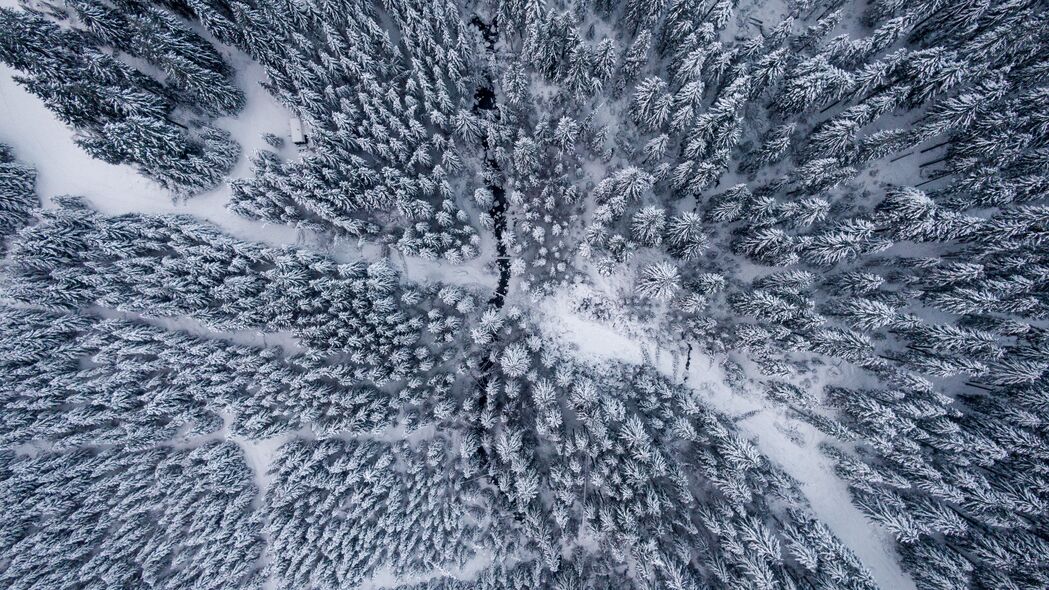 森林 雪 鸟瞰图 树木 冬季 4k壁纸 3840x2160