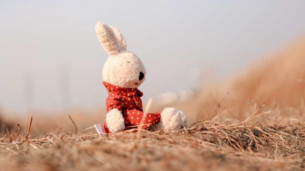 兔子 玩具 毛绒 白色 4k壁纸 3840x2160