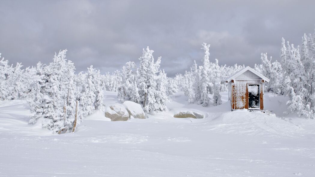 房子 雪 树 冬天 风景 4k壁纸 3840x2160