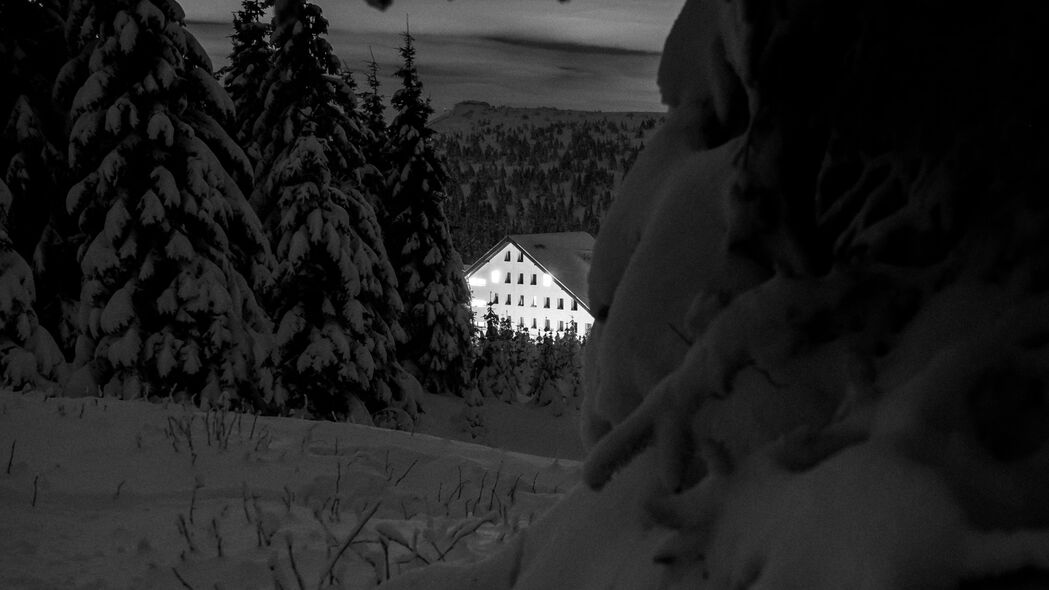 雪 树 房子 晚上 冬天 bw 4k壁纸 3840x2160