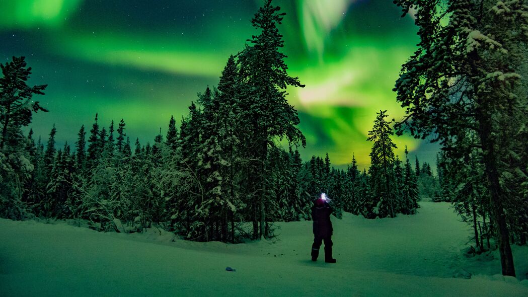 北极光 森林 剪影 冬天 夜晚 北方 4k壁纸 3840x2160