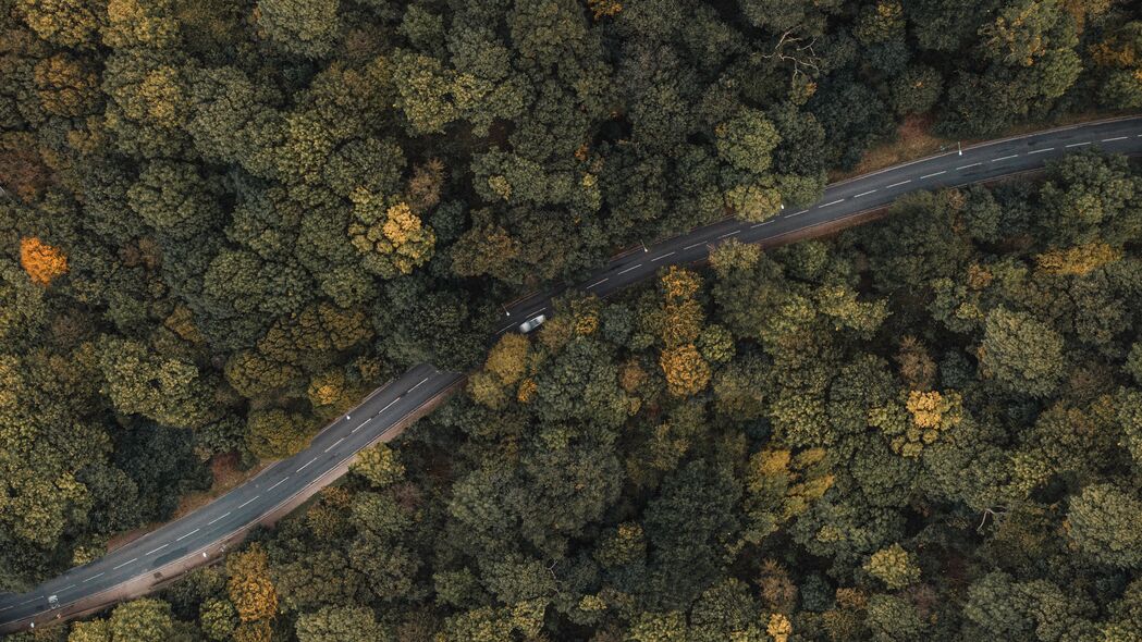 森林 道路 鸟瞰图 树木 树梢 汽车 4k壁纸 3840x2160