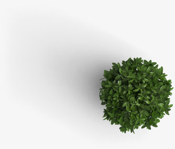 创意合成绿色的植物盆栽效果
