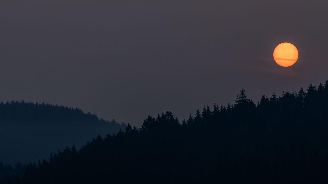 夜 月亮 森林 黑暗 风景 4k壁纸 3840x2160