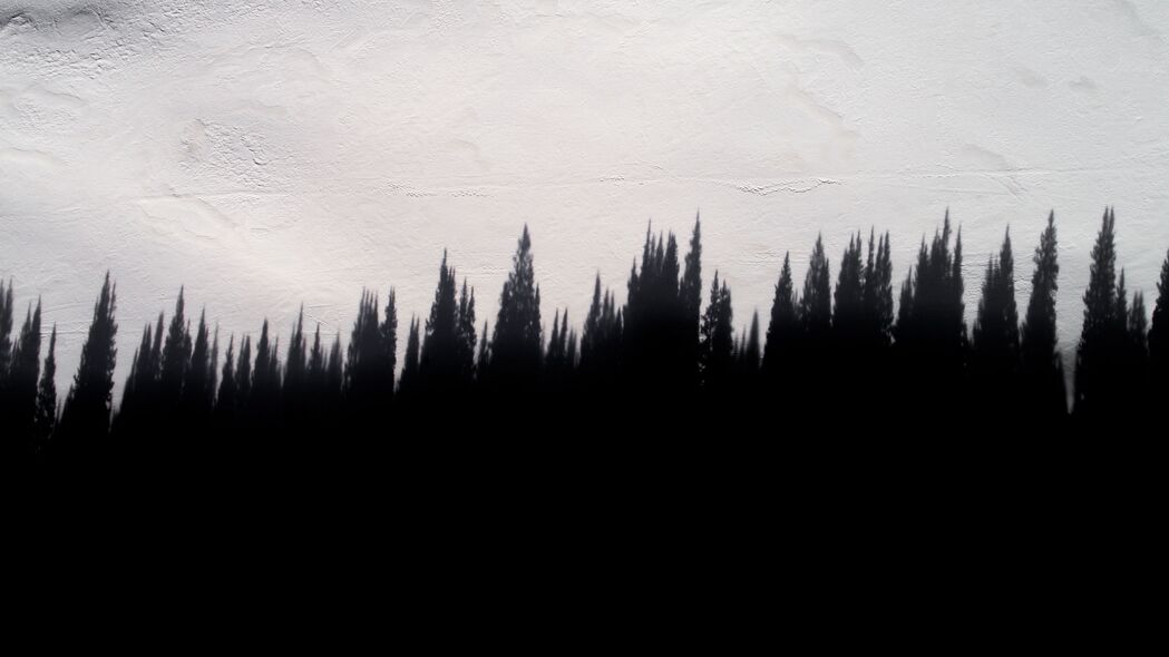 阴影 树木 墙壁 纹理 4k壁纸 3840x2160