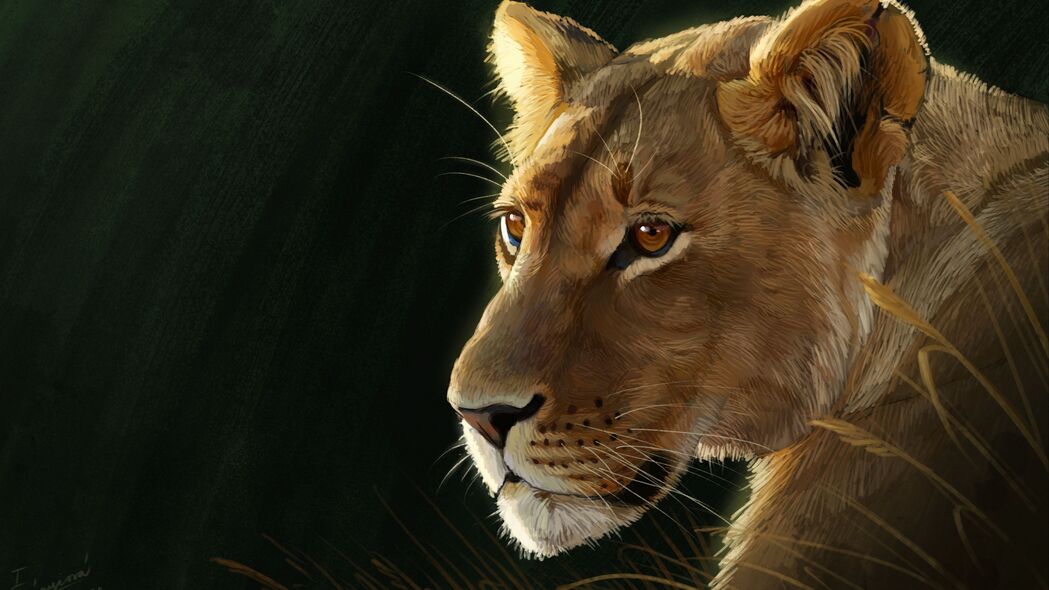 母狮 大猫 捕食者 一瞥 艺术 4k壁纸 3840x2160